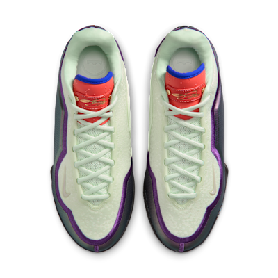 LeBron XXIII 'Best In Class' Basketball Shoes