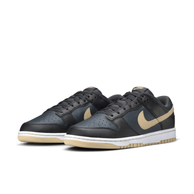 Nike Dunk Low Retro Men's Shoes