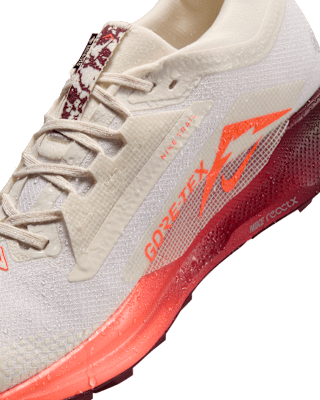 Nike Pegasus Trail 5 GORE-TEX