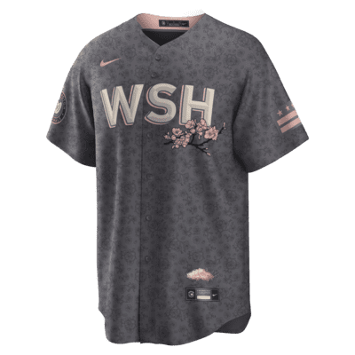 Custom Men's Washington Nationals 2022 City Connect Jersey - Gray Authentic