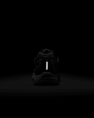 Nike Air Pegasus 2005