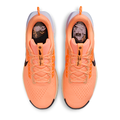 Scarpa da trail running Nike Pegasus Trail 5 – Uomo