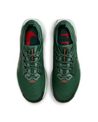 Nike Pegasus Trail 5 GORE-TEX