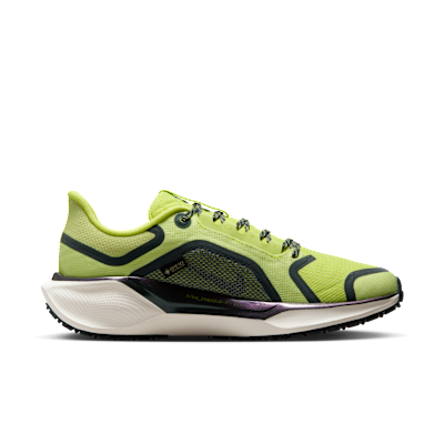 Nike Pegasus 41 GORE-TEX Su Geçirmez Kadın Yol Koşu Ayakkabısı