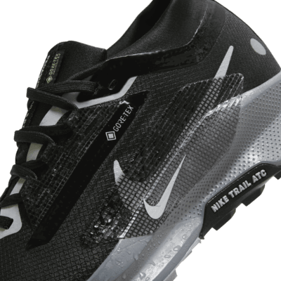 Vattentät terränglöparsko Nike Pegasus Trail 5 GORE-TEX för kvinnor