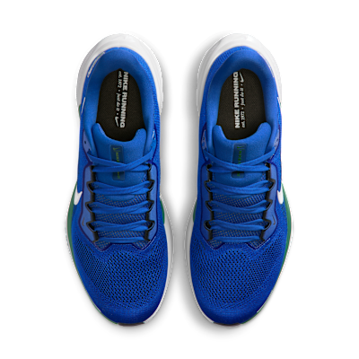 Seattle Seahawks Pegasus 41 Men's Nike NFL Road Running Shoes