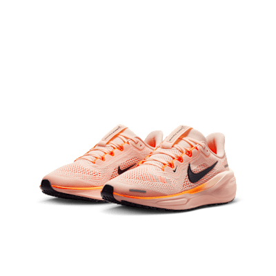 Tenis de correr en pavimento para niños grandes Nike Pegasus 41