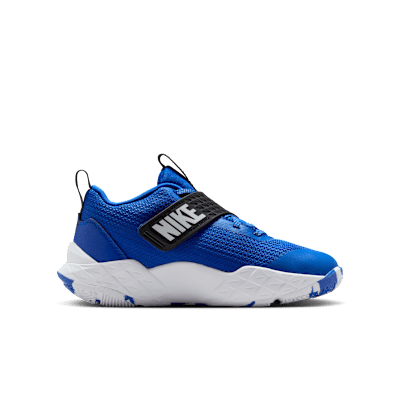 Basketsko Nike Team Hustle D 12 för ungdom