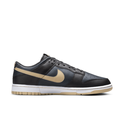 Nike Dunk Low Retro Men's Shoes