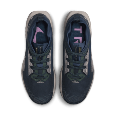 Chaussure de trail imperméable Nike Pegasus Trail 5 GORE-TEX pour femme