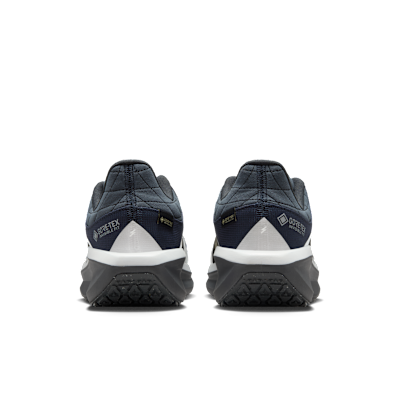 Damskie wodoszczelne buty do biegania po asfalcie Nike Winflo 11 GORE-TEX