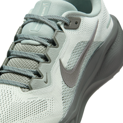 Nike Pegasus 41 女款路跑鞋