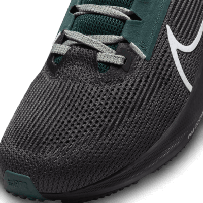 Nike Pegasus 40 (NFL Philadelphia Eagles) Men's Road Running Shoes ...