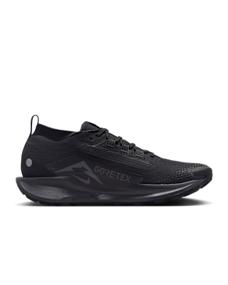 Nike Pegasus Trail 5 GORE-TEX