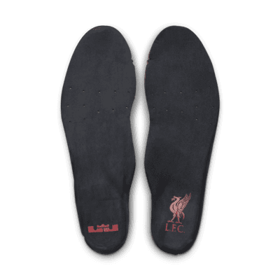 Nike Air Max 1 Premium Men's Shoes