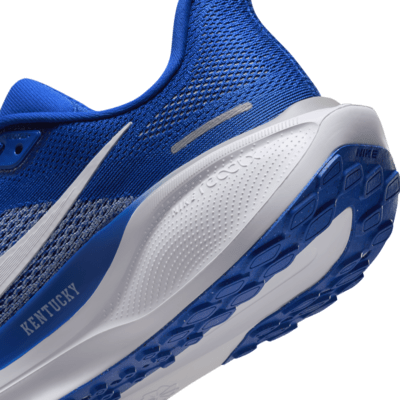 Tenis de correr en pavimento universitarios Nike para hombre Kentucky Pegasus 41