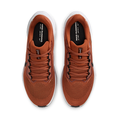 Texas Pegasus 41 Men's Nike College Road Running Shoes