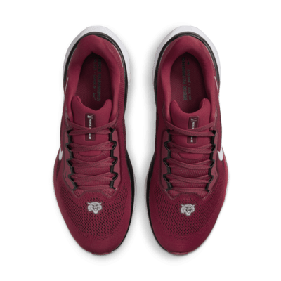 Tenis de correr en pavimento universitarios Nike para hombre Morehouse Pegasus 41