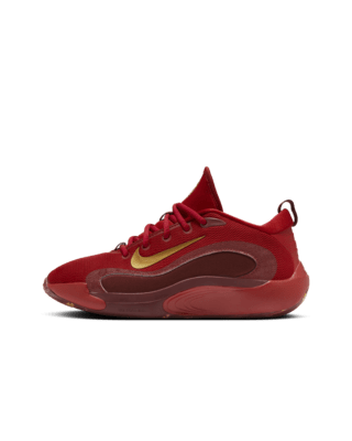 Подростковые кроссовки Nike IsoFly Big Kids' Basketball для баскетбола