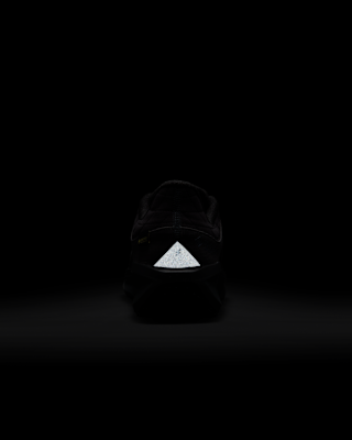 Nike Winflo 11 GORE-TEX