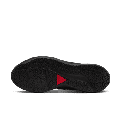 Nike Pegasus 39 Shield Women's Weatherised Road Running Shoes