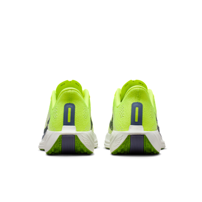 Scarpa da running su strada Nike Pegasus Plus – Donna