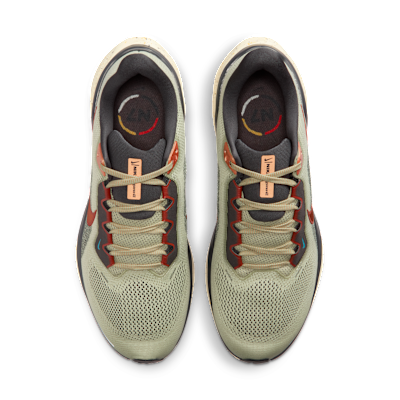 Nike Pegasus 41 Men's Road Running Shoes