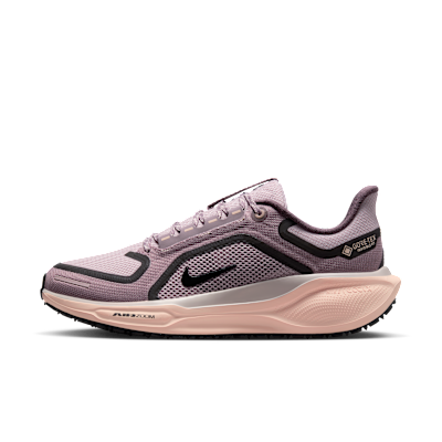 Nike Pegasus 41 GORE-TEX