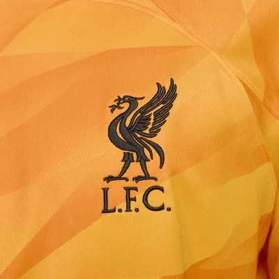 Liverpool FC 2023/24 Stadium Goalkeeper Men's Nike Dri-FIT Short-Sleeve ...
