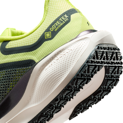 Nike Pegasus 41 GORE-TEX Su Geçirmez Kadın Yol Koşu Ayakkabısı