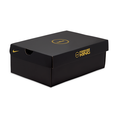 LeBron XXIII "Miami Twice"