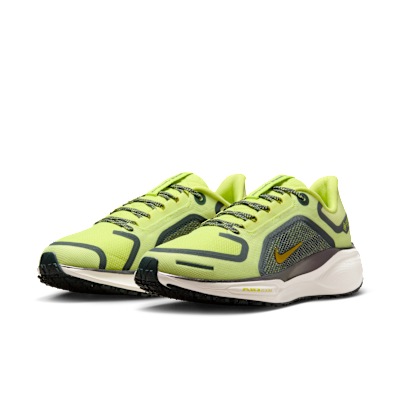Nike Pegasus 41 GORE-TEX Su Geçirmez Kadın Yol Koşu Ayakkabısı