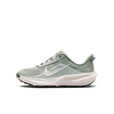 Nike Nike ACG Pegasus Trail Big Kids' Running Shoes