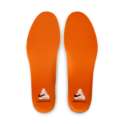 Nike Air Max Dn8 x Palace Men's Shoes