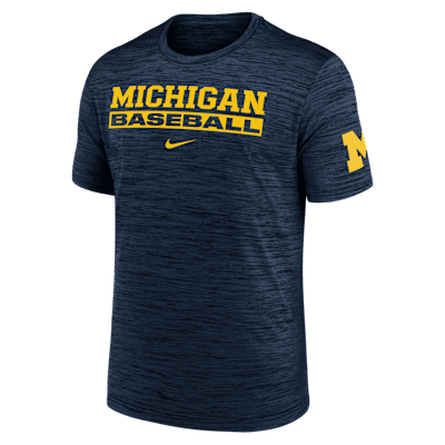 Michigan Wolverines Velocity Baseball Wordmark Stack