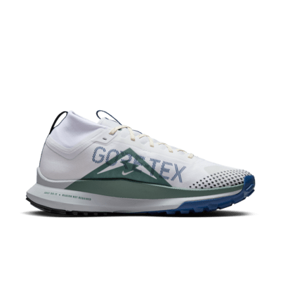Vattentät terränglöparsko Nike Pegasus Trail 4 GORE-TEX för män