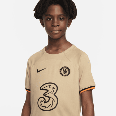 Chelsea F.C. 2022/23 Stadium Goalkeeper Older Kids' Nike Dri-FIT Football  Shirt. Nike LU