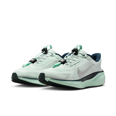 Nike Pegasus EasyOn Women's Road Running Shoes