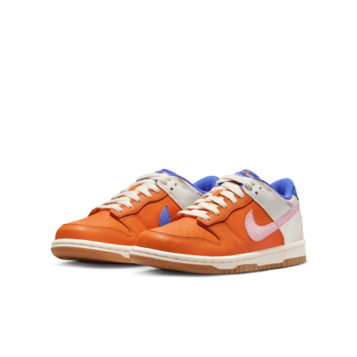 Calzado para niños grandes Nike Dunk Low SE