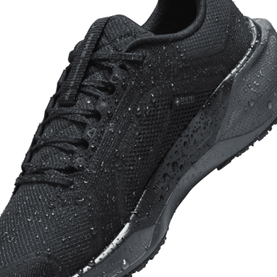 Nike Pegasus 41 GORE-TEX wasserdichter Straßenlaufschuh (Damen)