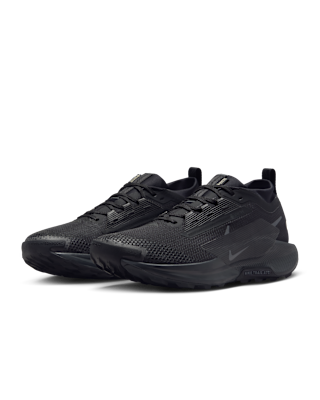 Nike Pegasus Trail 5 GORE-TEX