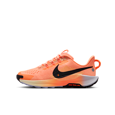 Nike Pegasus Trail 5