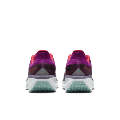 Scarpa impermeabile da running su strada Nike Winflo 11 GORE-TEX SE – Uomo