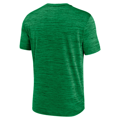 Oregon Sideline Velocity Men's Nike Dri-FIT College T-Shirt