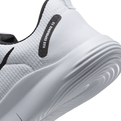 Nike Flex Experience Run 12 hardloopschoenen voor heren (straat)