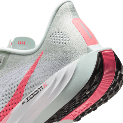 Nike Pegasus Plus Kadın Yol Koşu Ayakkabısı