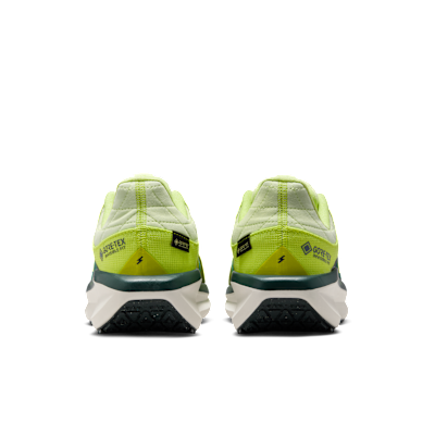 Nike Winflo 11 GORE-TEX Women's Waterproof Road Running Shoes