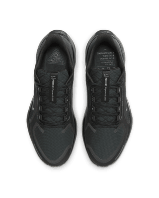 Nike Pegasus 41 GORE-TEX