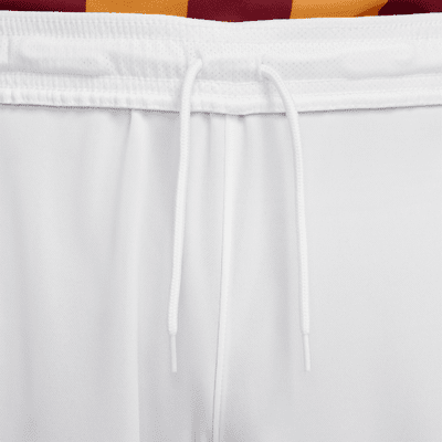 Galatasaray 2023/24 Stadium Third Nike Dri-FIT Fußballshorts für Herren