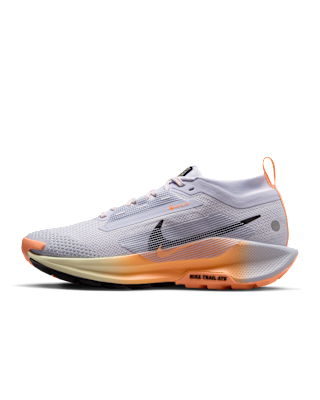 Женские кроссовки Nike Pegasus Trail 5 GORE-TEX Waterproof Trail для бега